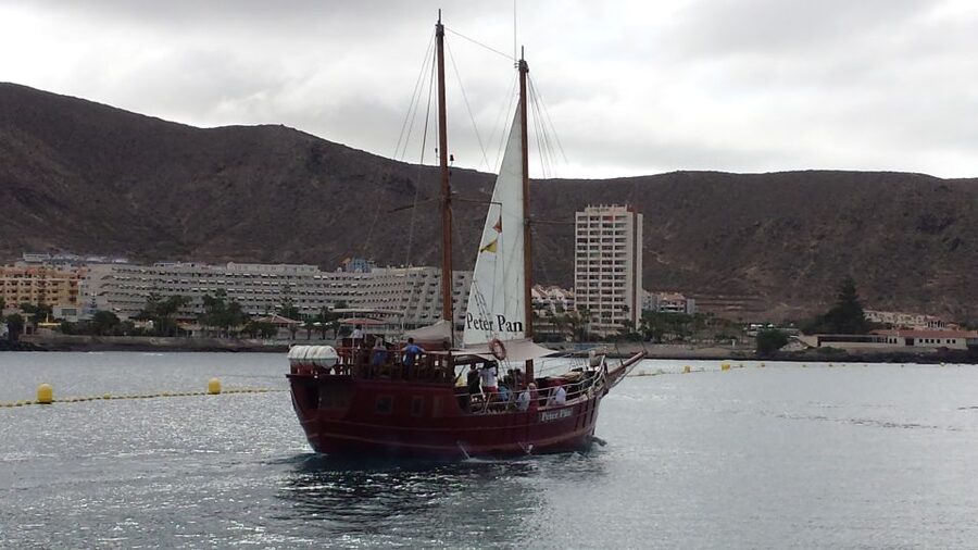 Tenerife:Respectful Whale Watching, Pirate Ship, & Swim - Why pilot whales gather off Tenerife’s west coast