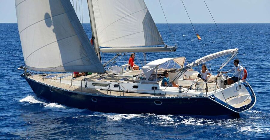 Tenerife: Sailing Excursion with Whale and Dolphin Watching - What the yacht feels like on the water