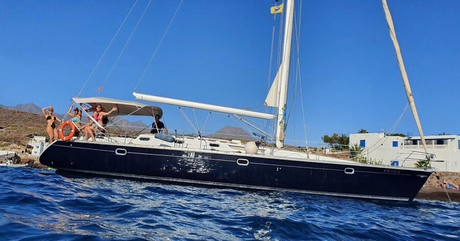 Tenerife: Sailing Excursion with Whale and Dolphin Watching - Watching pilot whales and dolphins near Tenerife