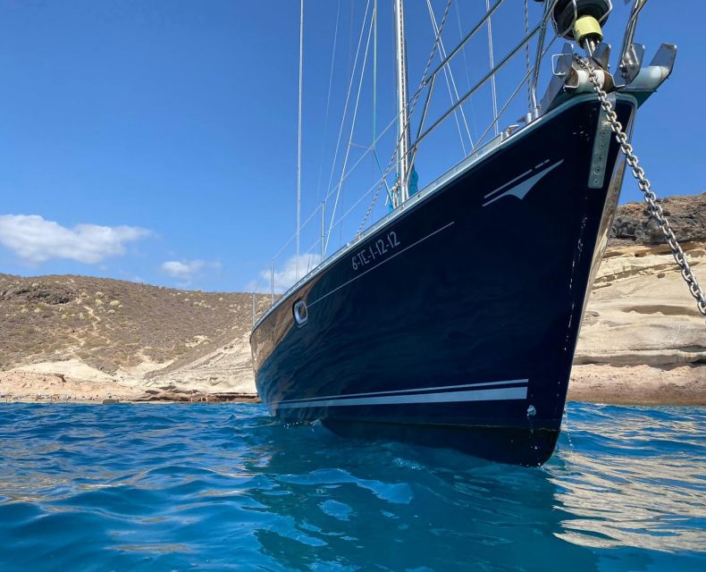 Tenerife: Sailing Excursion with Whale and Dolphin Watching - Who will enjoy this trip most?