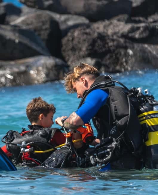 Tenerife: Scuba Dive & Fun, Discover the Magic of the Ocean - What the $106 price buys you