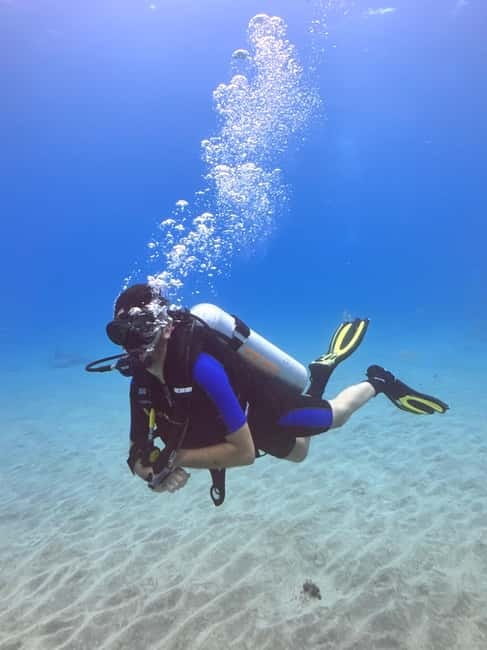 Tenerife: Scuba Dive & Fun, Discover the Magic of the Ocean - Playa Las Vistas and the short walk
