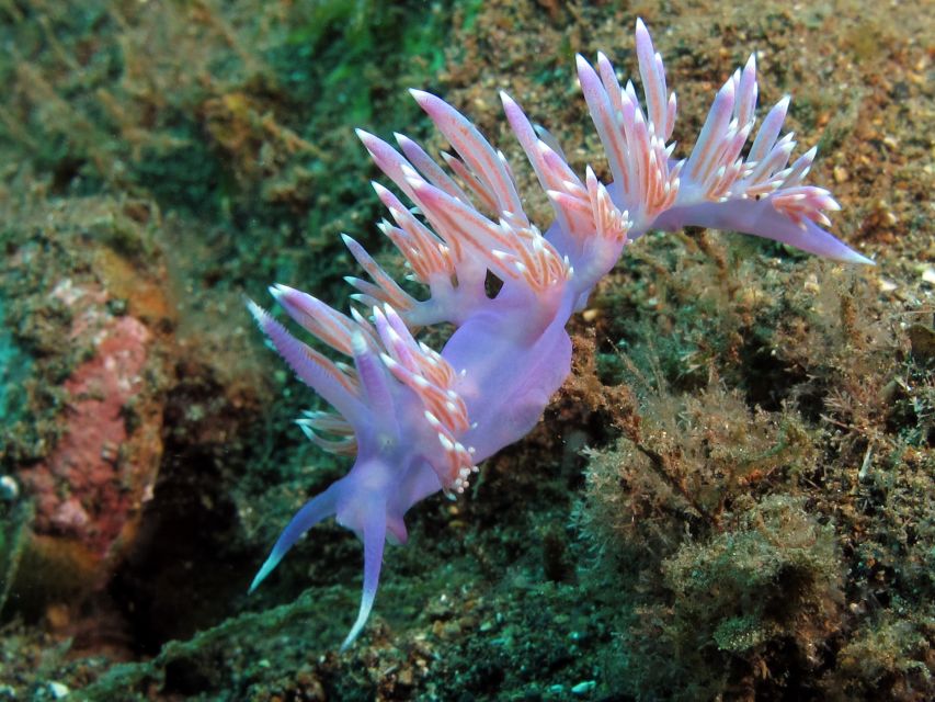 Tenerife Scuba Diving for Certified Divers - The surface break is part of the experience