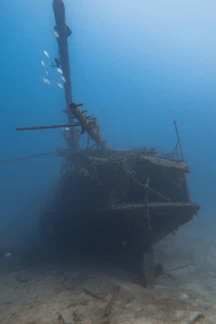 Tenerife: Scuba Diving for Certified Divers in Tenerife - What the crew adds to the experience