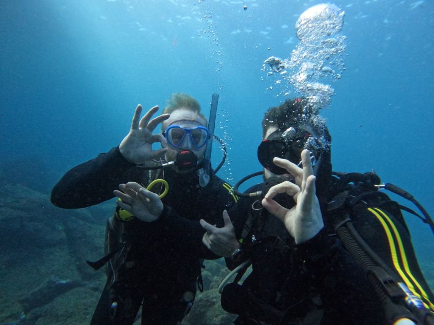 Tenerife: Scuba Diving for Certified Divers in Tenerife - Puerto Colón gives you an easy start
