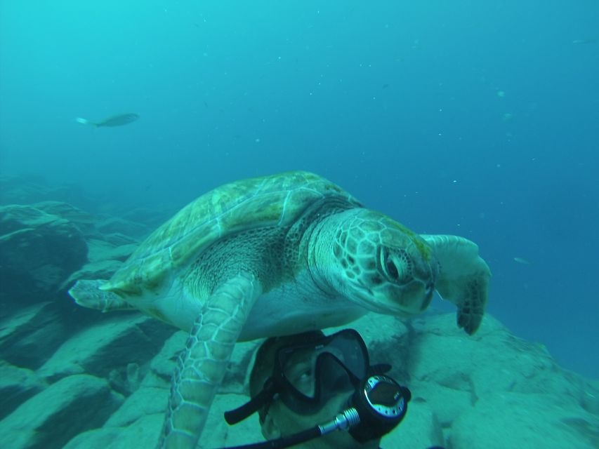 Tenerife: Scuba Diving for Certified Divers in Tenerife - The speedboat ride is short and useful