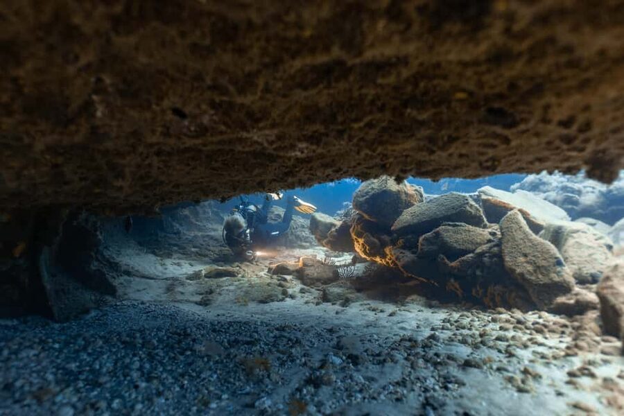 Tenerife: Scuba Diving for Certified Divers in Tenerife - Forty-five minutes among Tenerife’s Atlantic marine life