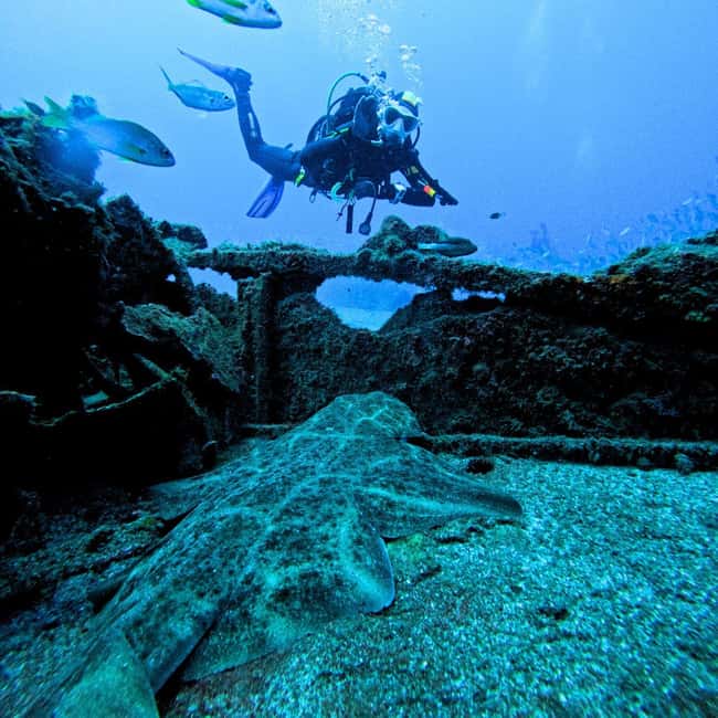 Tenerife: Scuba Diving for Certified Divers in Tenerife - Practical advice for a smooth session