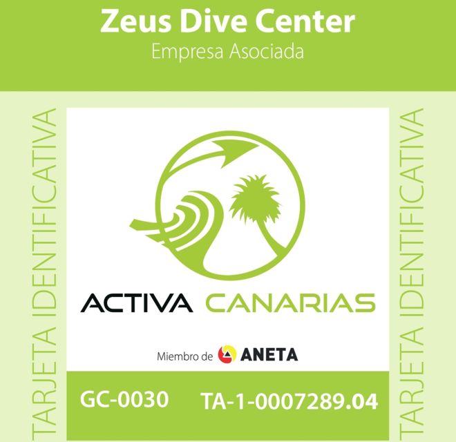 Tenerife Scuba Diving for Certified Divers - Two long sessions, with room for a third