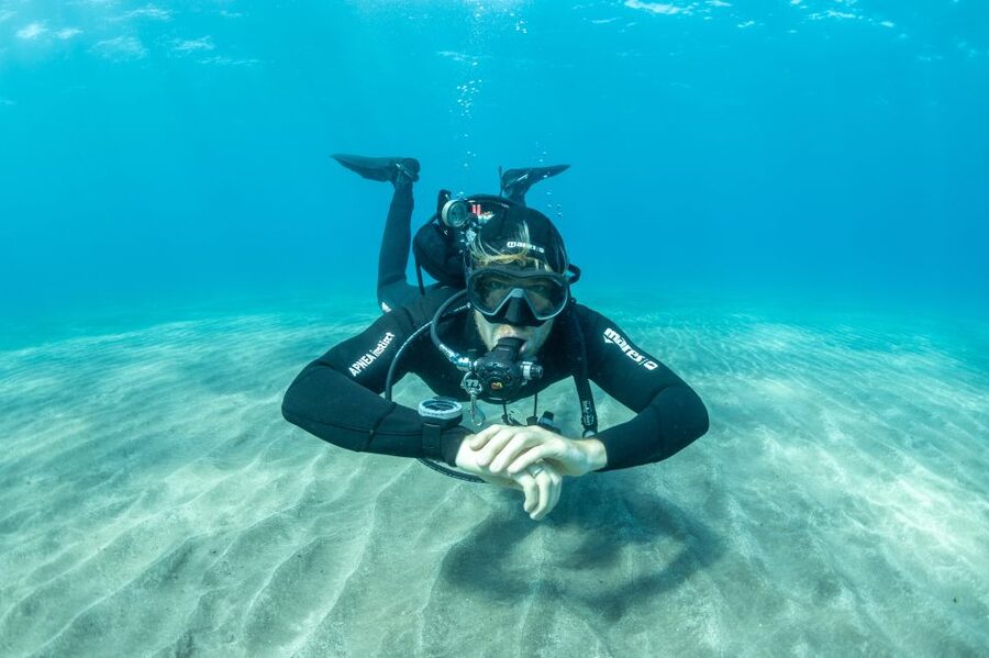 Tenerife: Scuba Diving Lesson and Abades Protected Area Dive - The marine life you might see