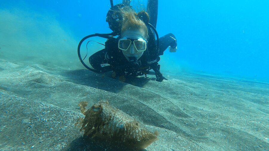 Tenerife: Scuba Diving Lesson and Abades Protected Area Dive - Exploring the protected Abades marine area