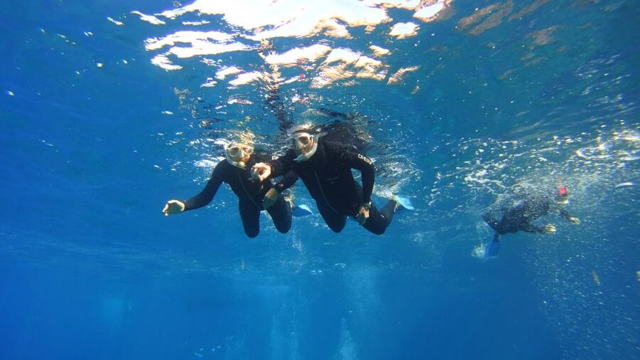 Tenerife: Snorkel with Turtles - Languages, timing, and useful preparation