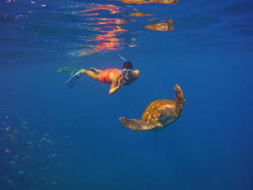 Tenerife: Snorkel with Turtles - Equipment, warmth, and comfort