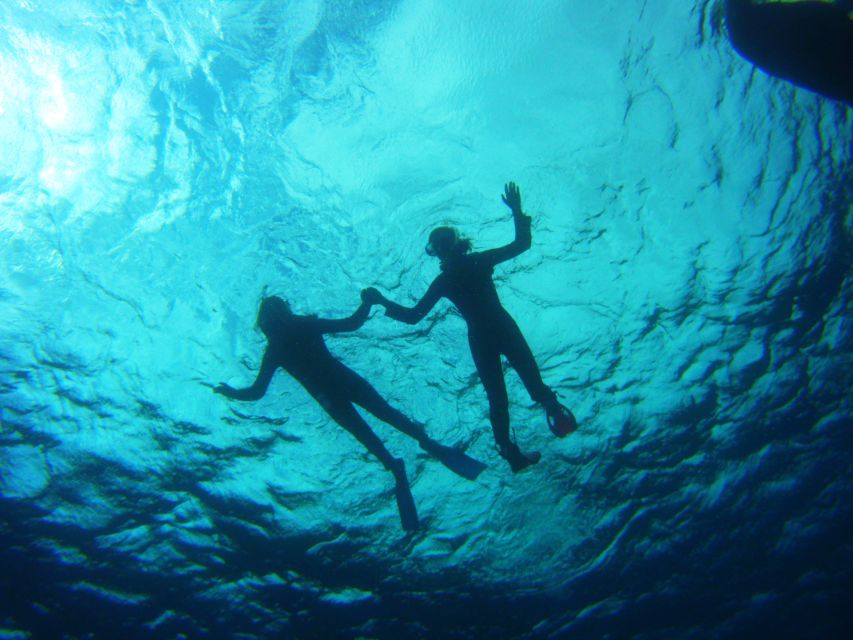 Tenerife: Snorkel with Turtles - Who will enjoy this most