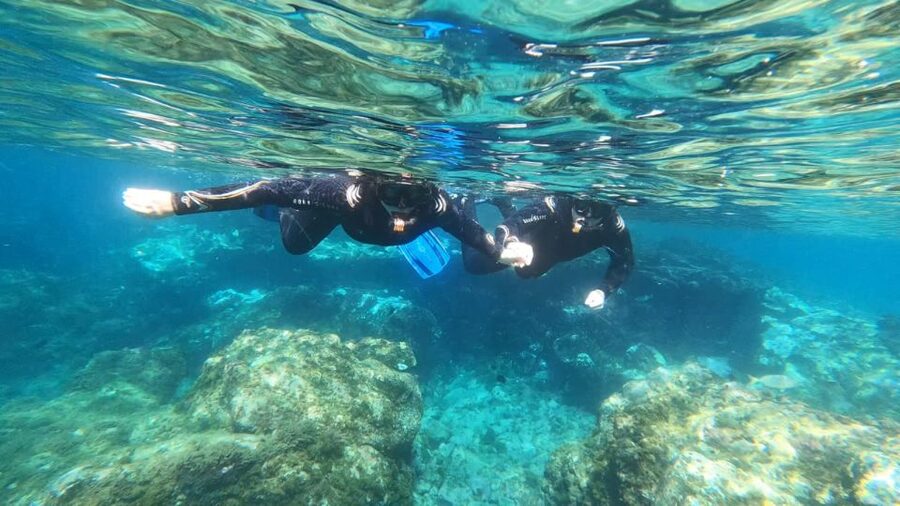 Tenerife: Snorkeling Tour in a Marine Protected Area - At a glance