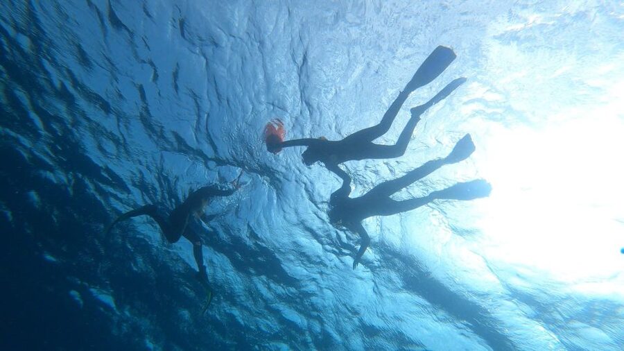 Tenerife: Snorkeling Tour in a Marine Protected Area - How the guides handle nervous swimmers