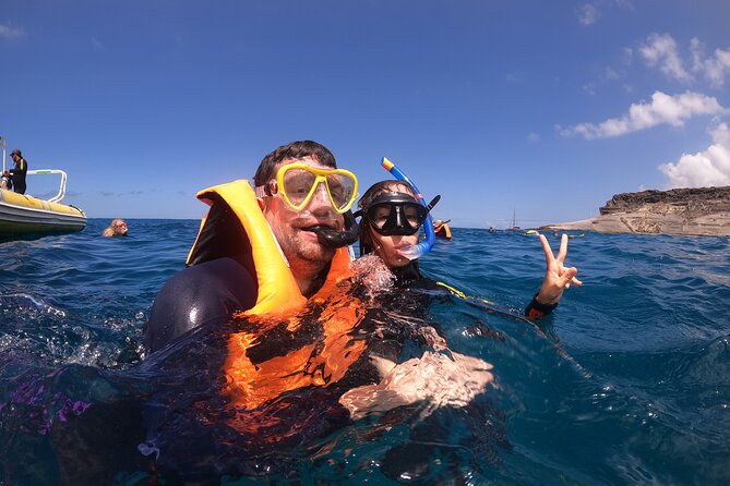Tenerife Snorkeling Tour in turtle habitat - What happens at El Palm-mar