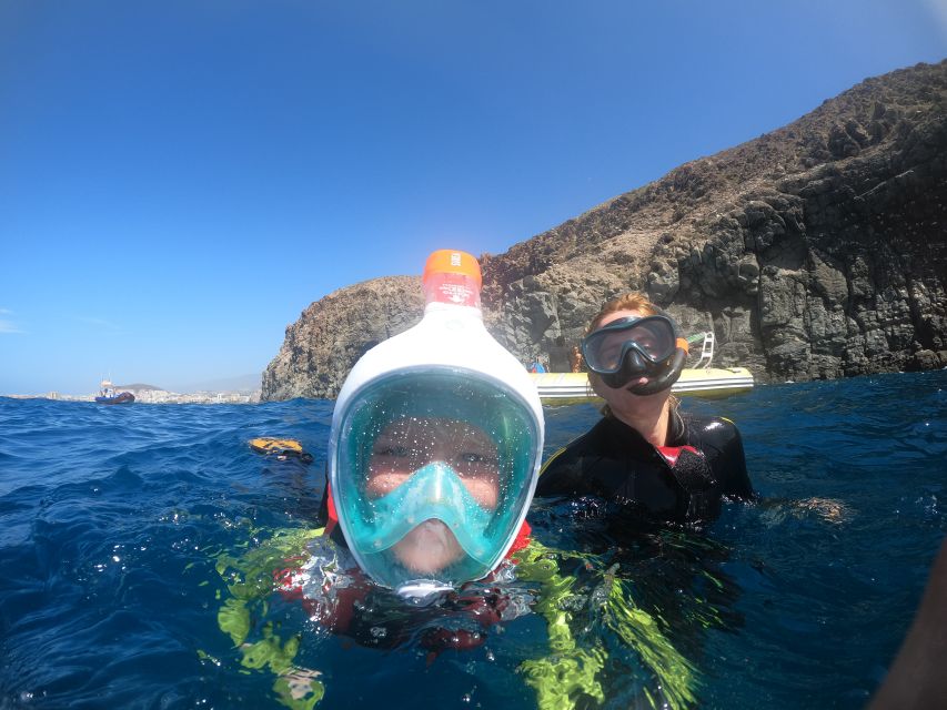 Tenerife: Snorkeling Trip in a Turtle Habitat - Key points at a glance