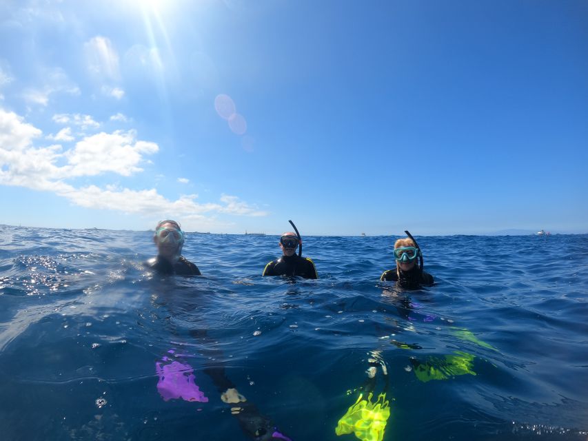 Tenerife: Snorkeling Trip in a Turtle Habitat - Practical tips for a smoother outing