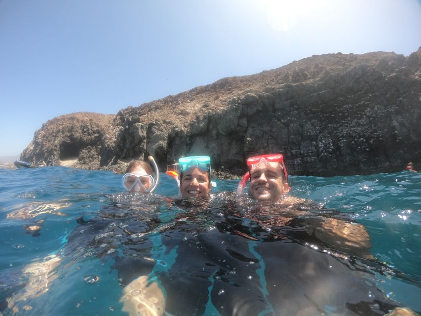 Tenerife: Snorkeling Trip in a Turtle Habitat - Fifty minutes in the Turtle Area