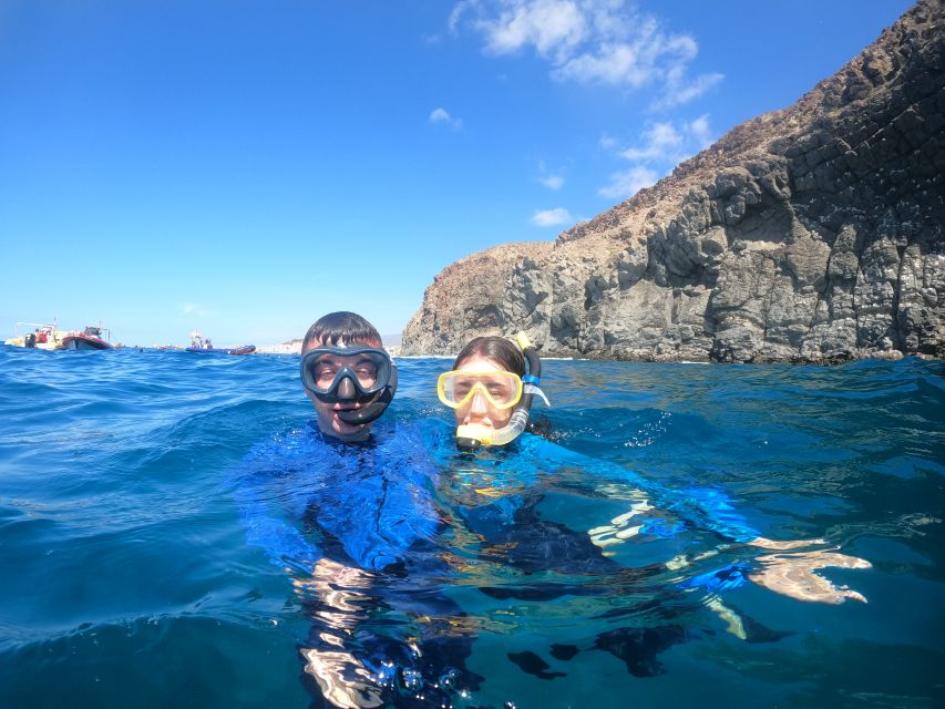 Tenerife: Snorkeling Trip in a Turtle Habitat - Returning by boat
