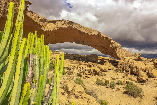 Tenerife South Private Tour: Secrets of the Volcanoes - Arco de Tajao and the dry south