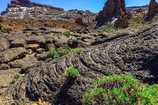 Tenerife South Private Tour: Secrets of the Volcanoes - The guide can make or break the experience
