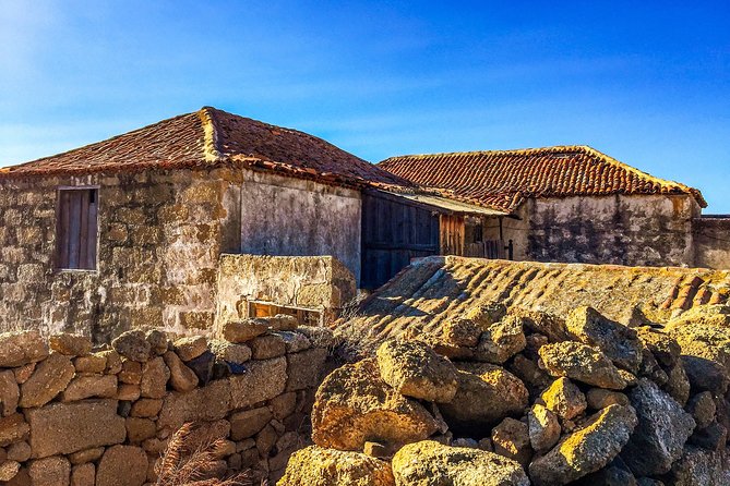 Tenerife South Private Tour: Secrets of the Volcanoes - Is $921.15 good value for two?