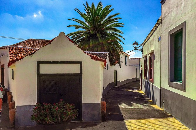Tenerife South Private Tour: Secrets of the Volcanoes - San Miguel and the view across volcanic cones