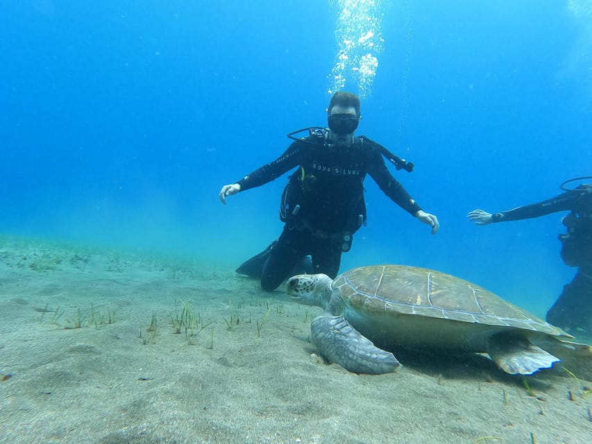 Tenerife south: Scuba Dive for beginners in Adeje - Key points to know before booking