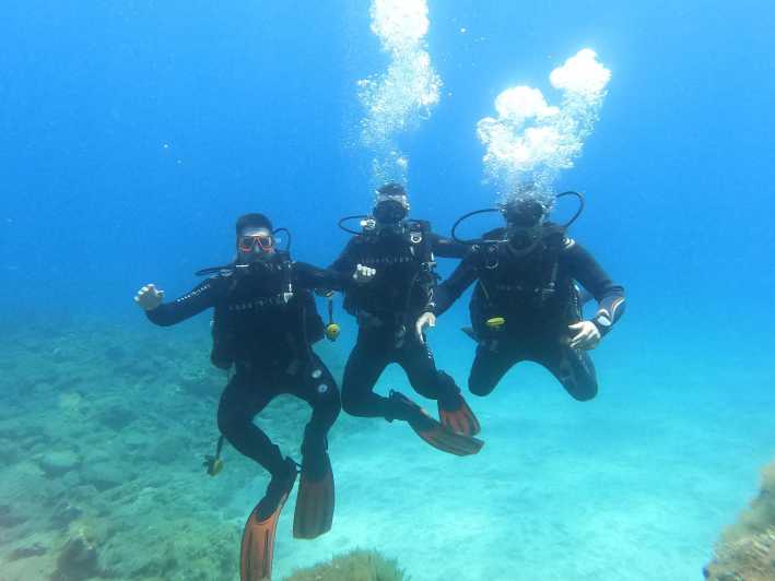 Tenerife south: Scuba Dive for beginners in Adeje - What this Tenerife experience really offers