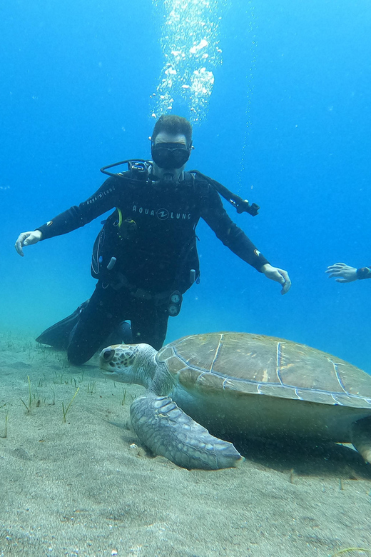 Tenerife south: Scuba Dive for beginners in Adeje - The lesson that makes beginners feel ready