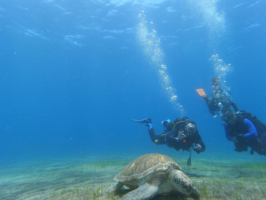 Tenerife south: Scuba Dive for beginners in Adeje - The 45-minute open-water session