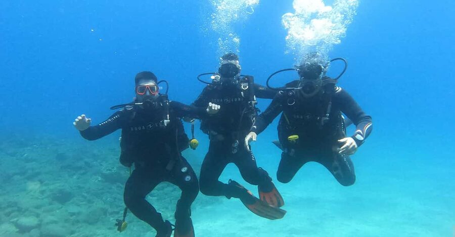 Tenerife south: Scuba Dive for beginners in Adeje - Starting at Hotel GF Isabel at 8:45 a.m.