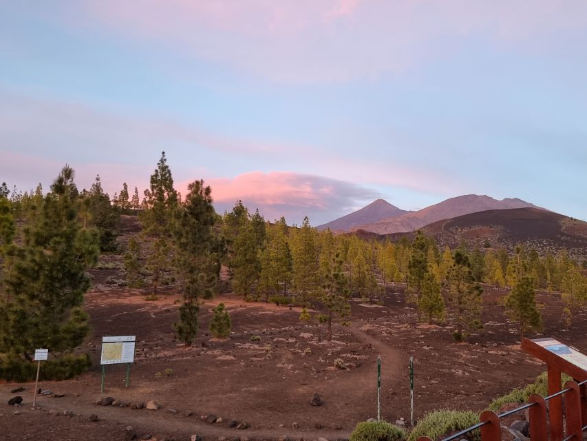 Tenerife: Sunset and Stargazing at Teide National Park - Should you book the Teide sunset and stargazing tour?