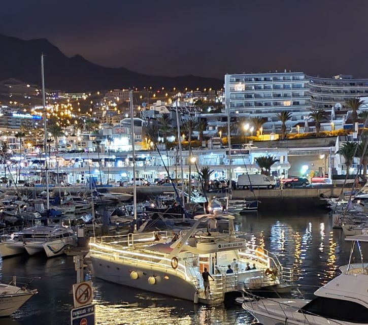 Tenerife: Sunset Catamaran Tour with Transfer, Buff & Drinks - Who will enjoy this catamaran trip most
