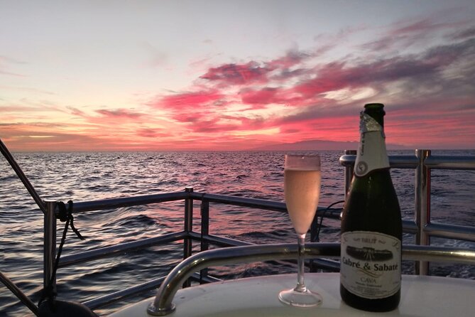 Tenerife Sunset Catamaran tour with transfer - Food and Drinks included. - Who should book this Tenerife boat trip?