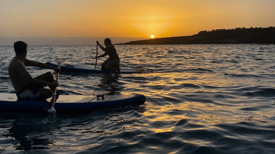 Tenerife: Sunset Stand-Up Paddleboarding Tour - What the 1.5-hour paddle really involves