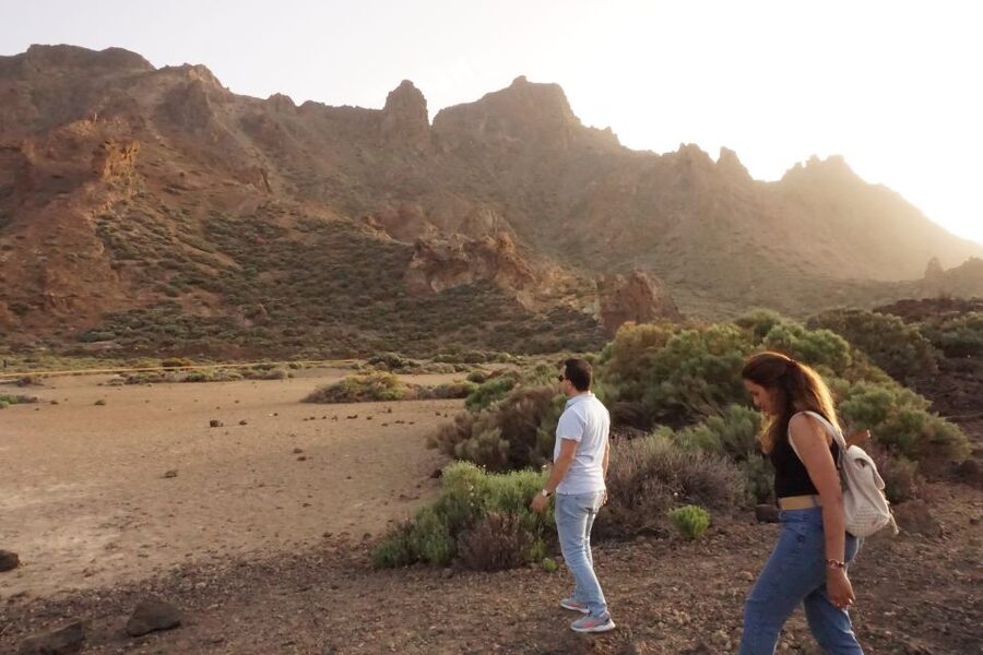 Tenerife: Sunset Teide National Park & Photos - Who should book this sunset tour?