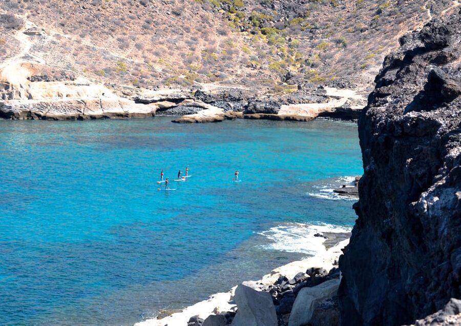 TENERIFE SUR: Paddleboarding tour and SNORKEL - Snorkeling depends on the sea