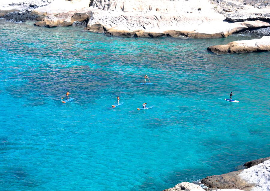 TENERIFE SUR: Paddleboarding tour and SNORKEL - Practical tips for a smoother outing