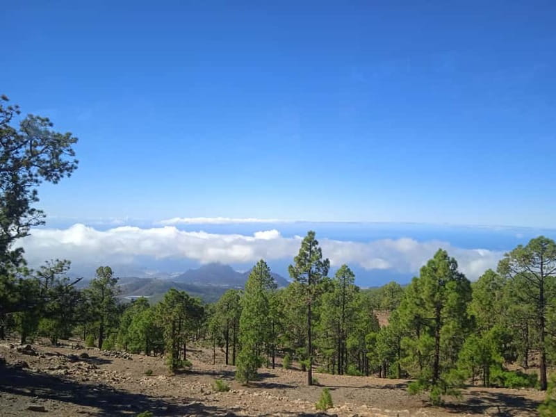 Tenerife: Teide, Icod de los Vinos & Garachico Full Day Tour - The coach, guide, and pace of the day