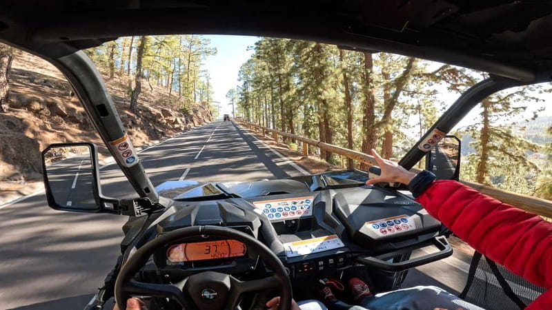Tenerife: Teide National Park Guided Buggy Tour - Reaching 2,200 meters in an open buggy