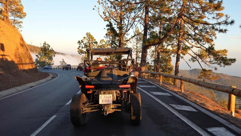 Tenerife: Teide National Park Guided Buggy Tour - Who should book this Teide tour?