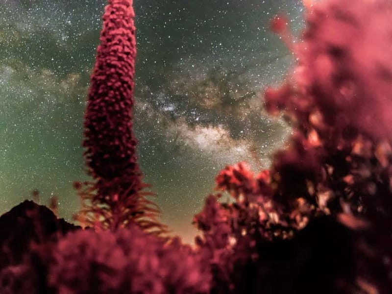 Tenerife: Teide Stargazing with an Astrophysicist - The guide makes the difference