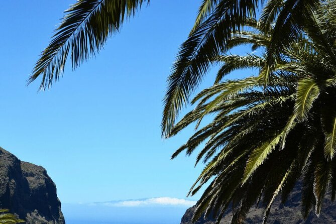 Tenerife Tour Mt. Teide and the Towns of Icod, Garachico, Masca - Is $45.84 good value?
