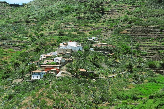 Tenerife Tour Mt. Teide and the Towns of Icod, Garachico, Masca - Icod de los Vinos and the famous dragon tree