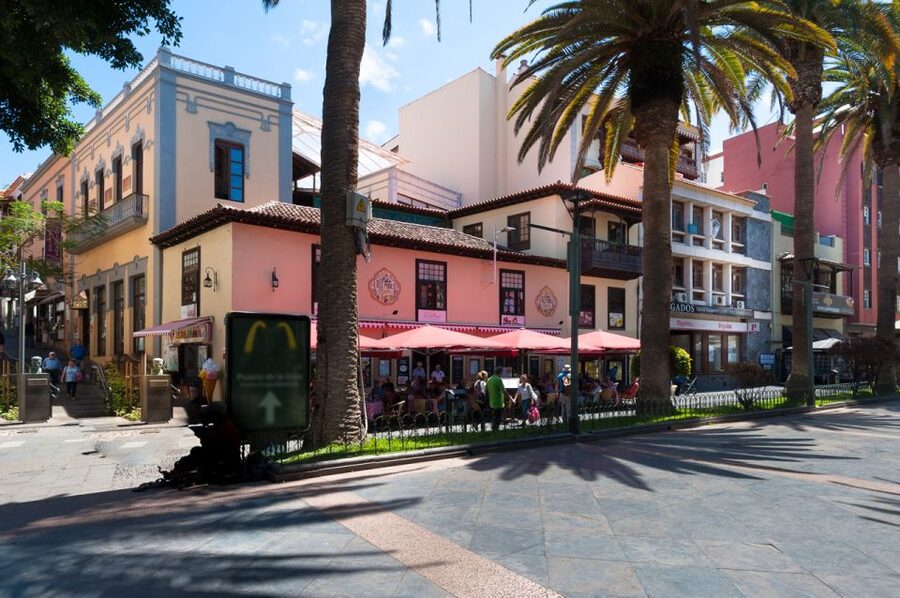 Tenerife: Trip to Puerto de la Cruz - Key points to know before booking
