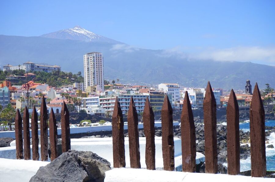 Tenerife: Trip to Puerto de la Cruz - Why Puerto de la Cruz makes a worthwhile day trip