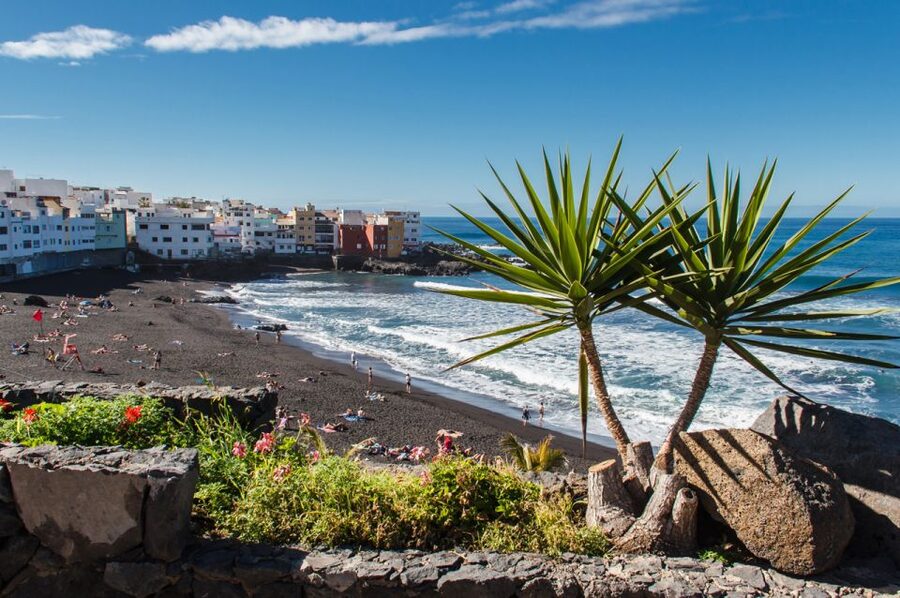 Tenerife: Trip to Puerto de la Cruz - Gardens that explain Puerto de la Cruz